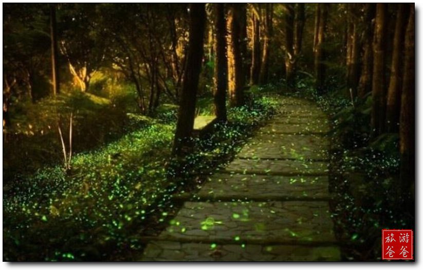 星空·综合(中国)体育