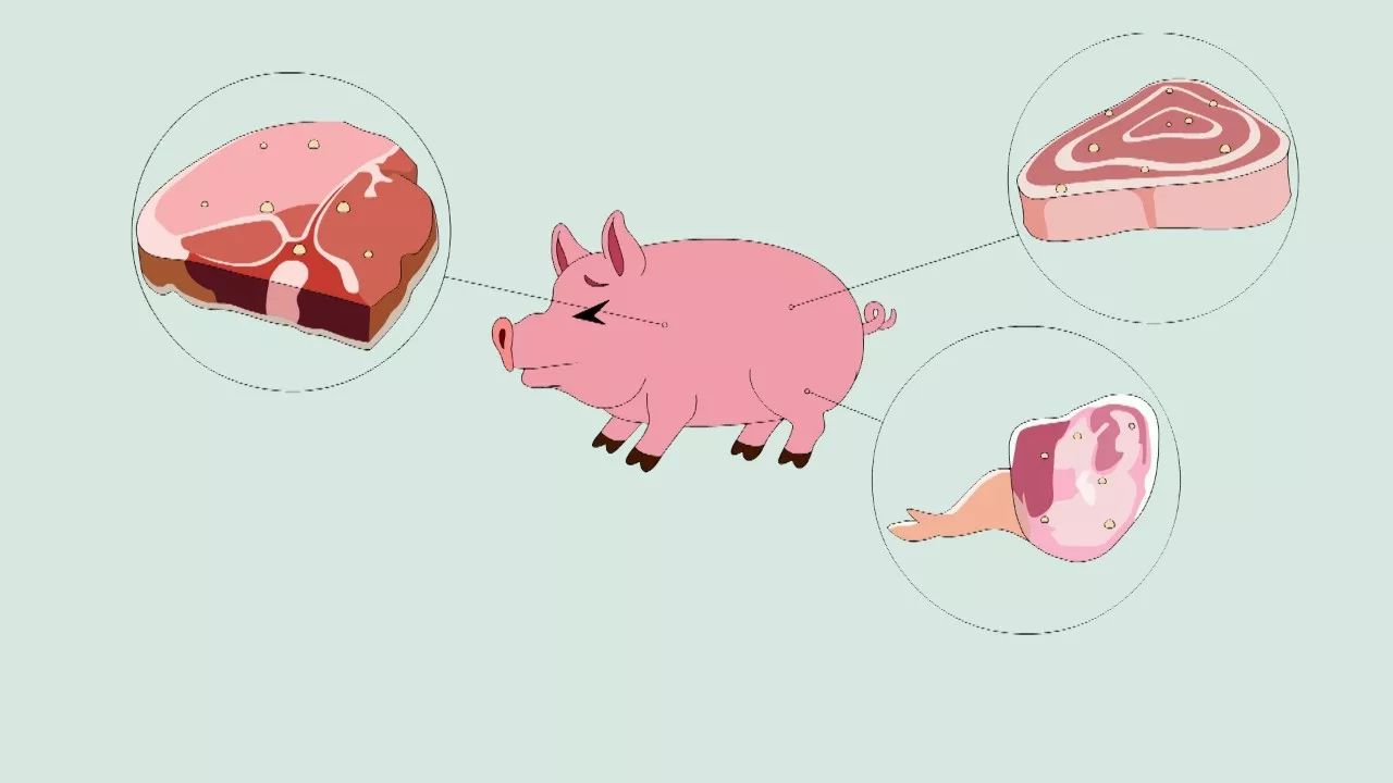 xingkong综合体育