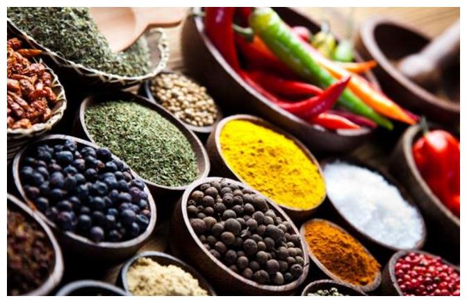 星空综合官方网站