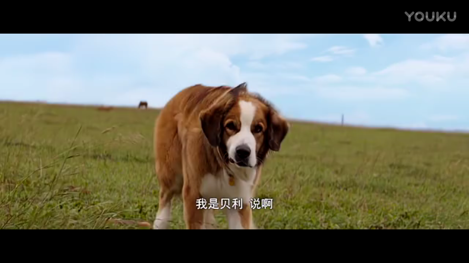 星空·综合(中国)体育