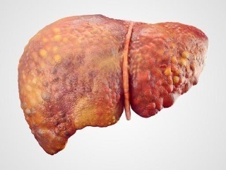 星空综合官方网站