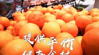 星空·综合体育