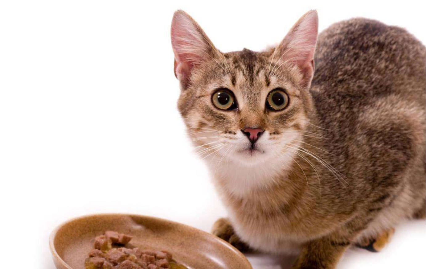 星空综合官方网站