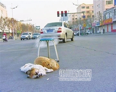 xingkong综合体育