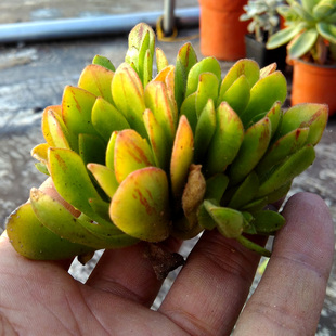 星空·综合体育