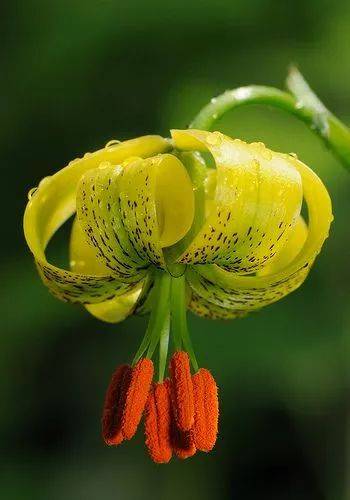 星空·综合体育