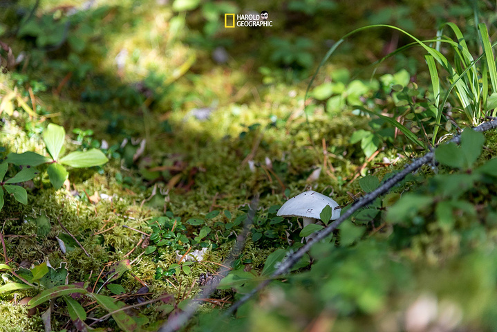 xingkong综合体育