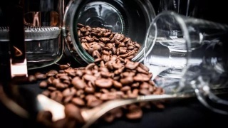 星空·综合体育