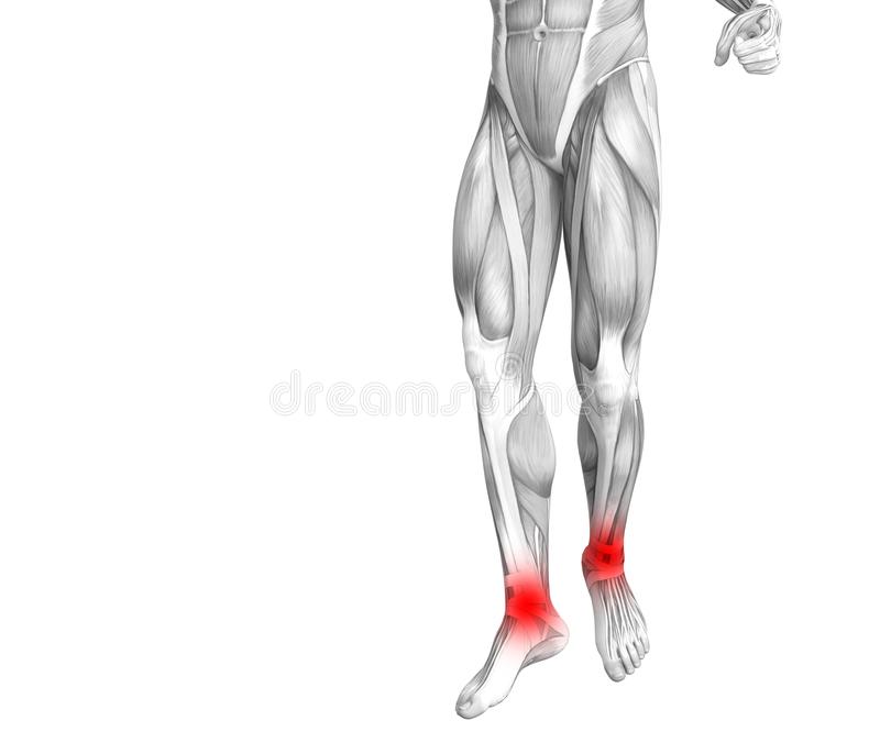 星空综合官方网站