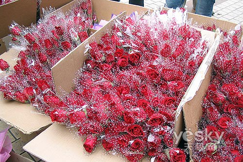 xingkong综合体育